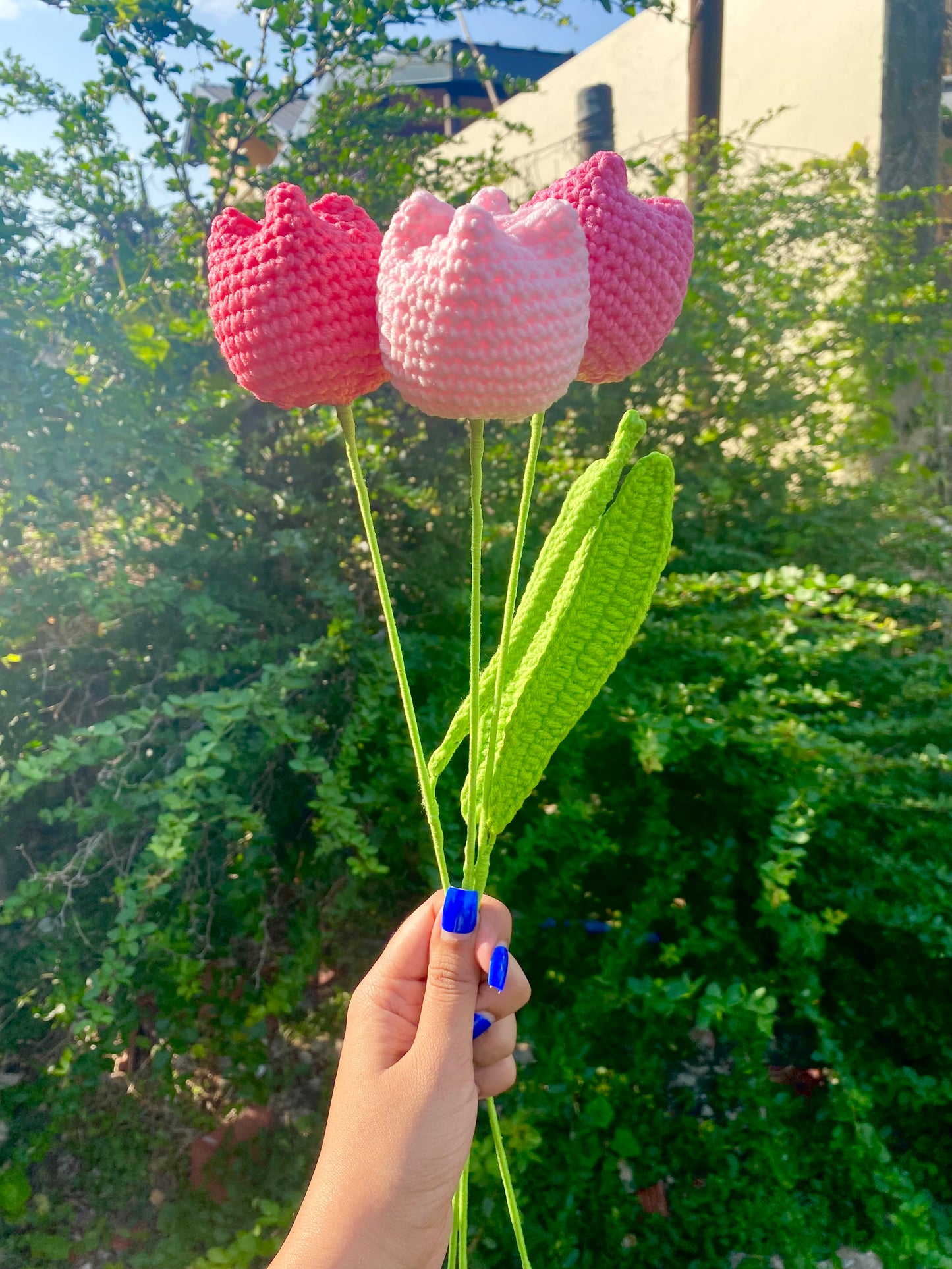 Tulip (Stem)