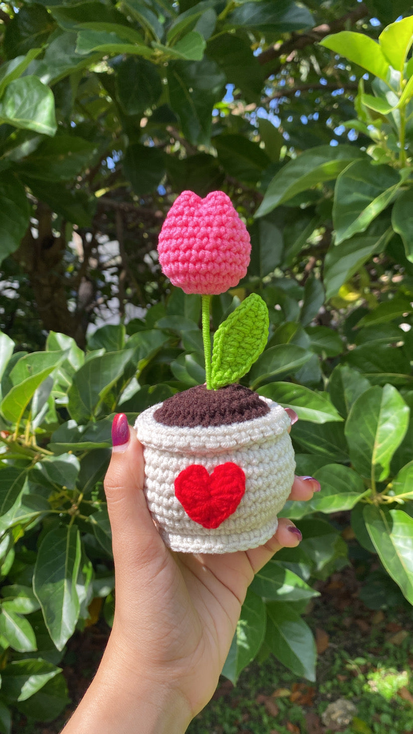 Tulip in love pot