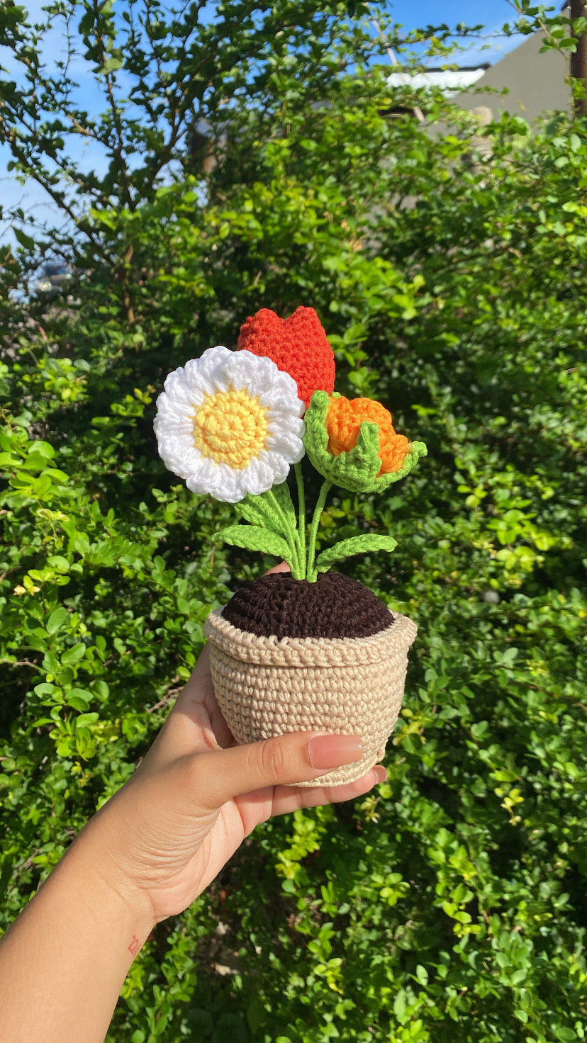 Three (3) flowers in rounded pot