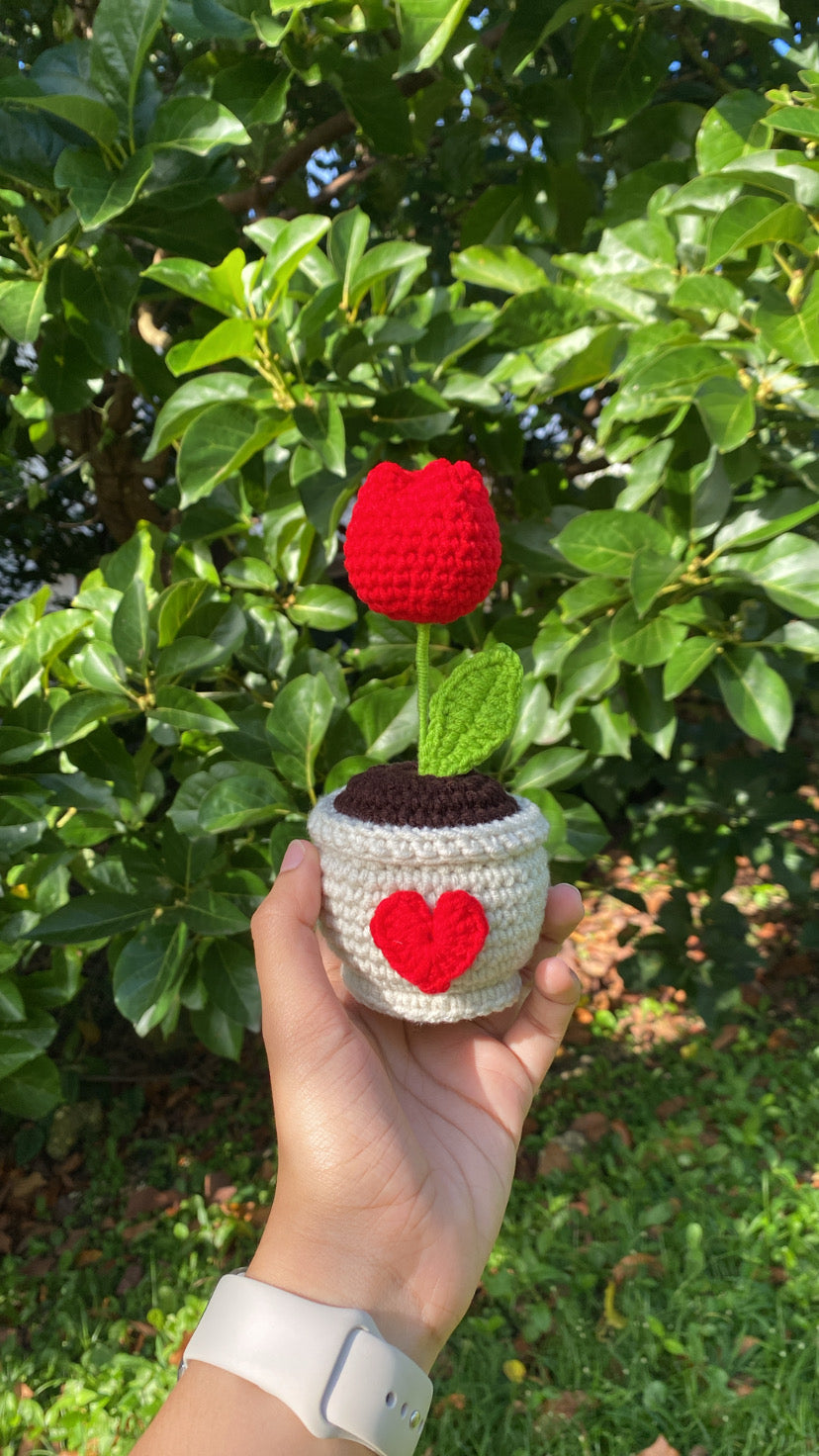 Tulip in love pot