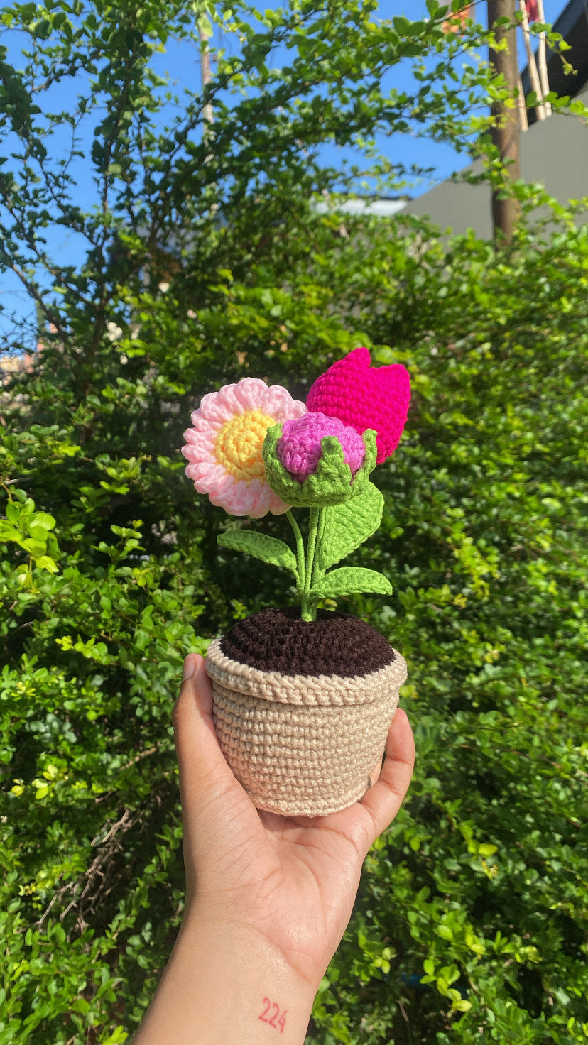 Three (3) flowers in rounded pot