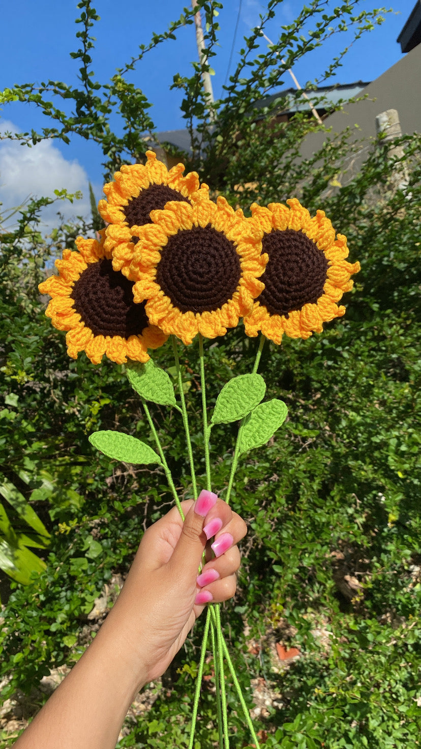 Sunflower (Stem)