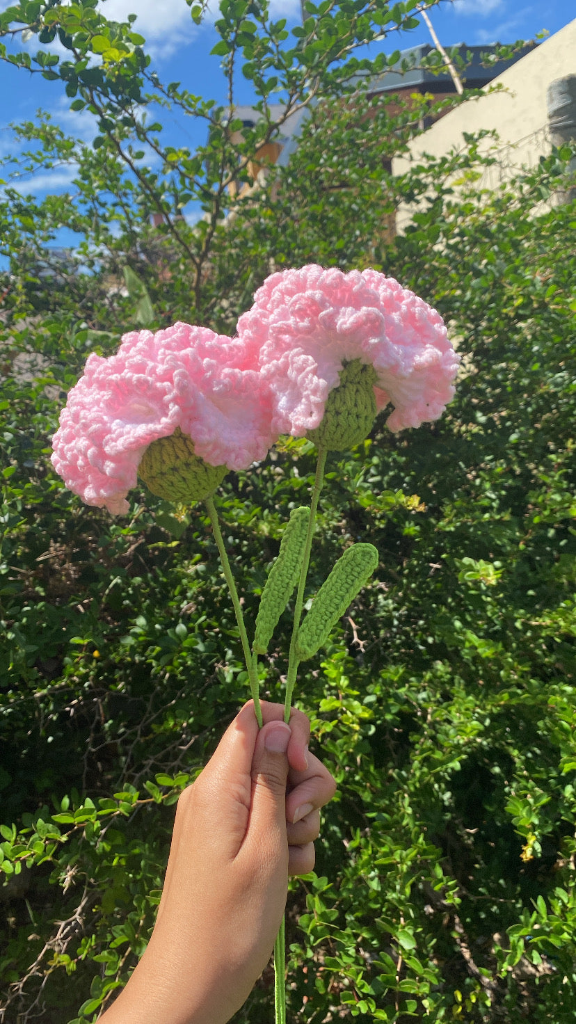 Carnation (Stem)