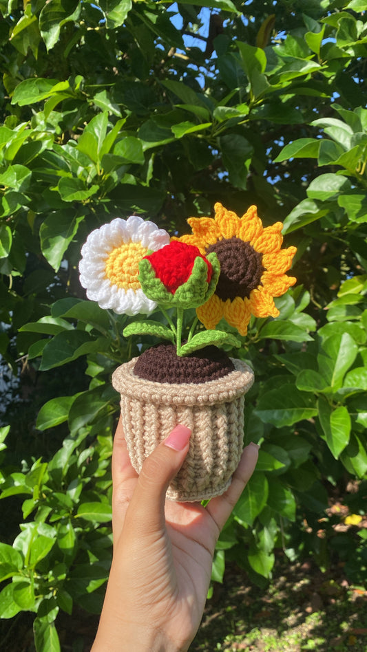 Three flowers in textured pot