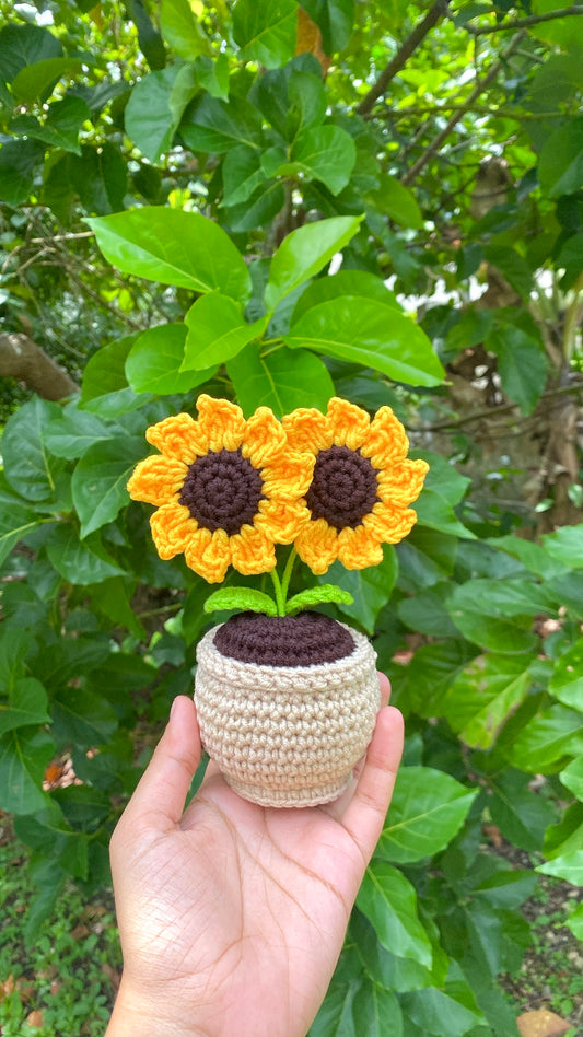 Mini double sunflower pot