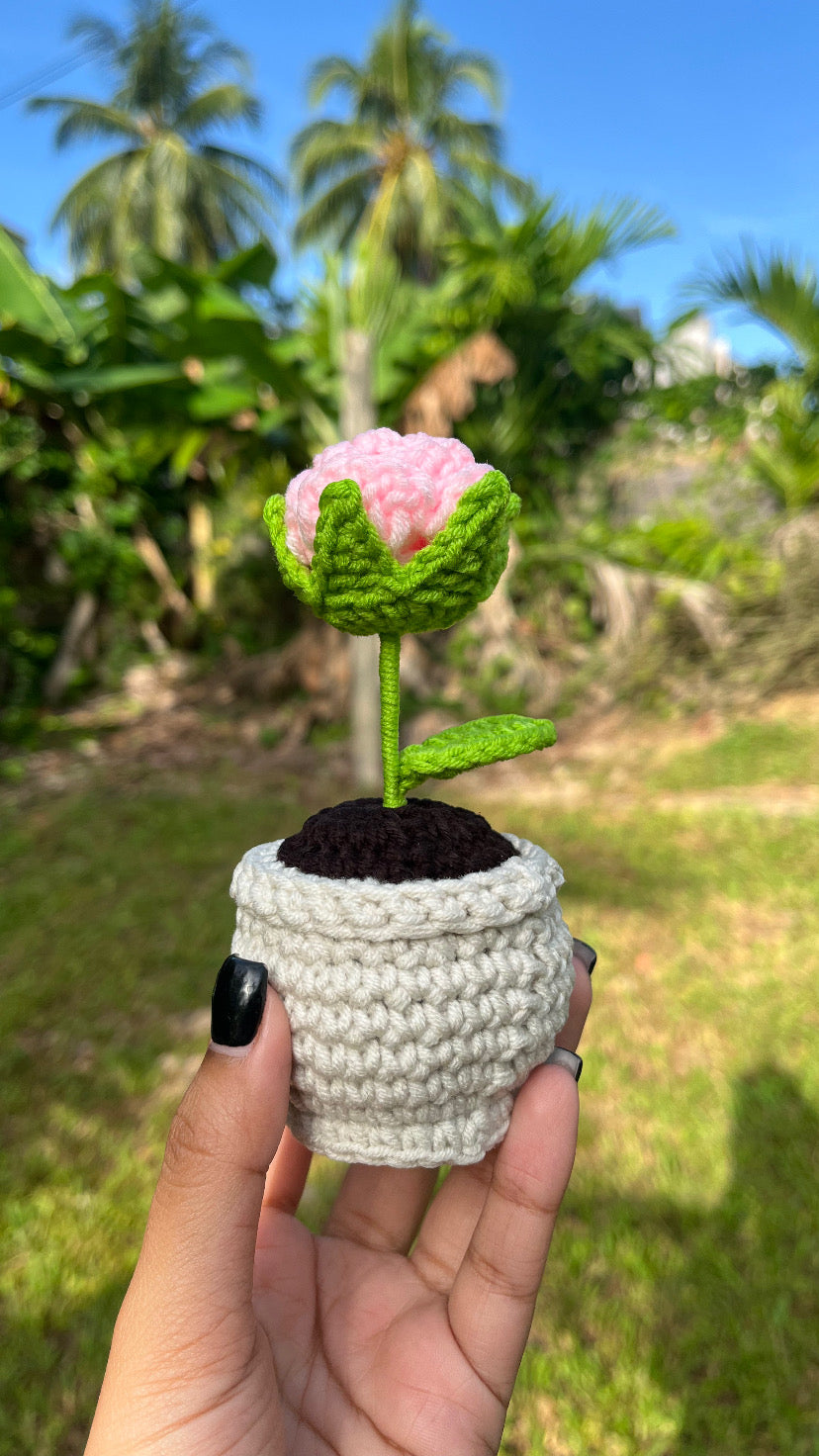 Mini desk buddy - flower pot