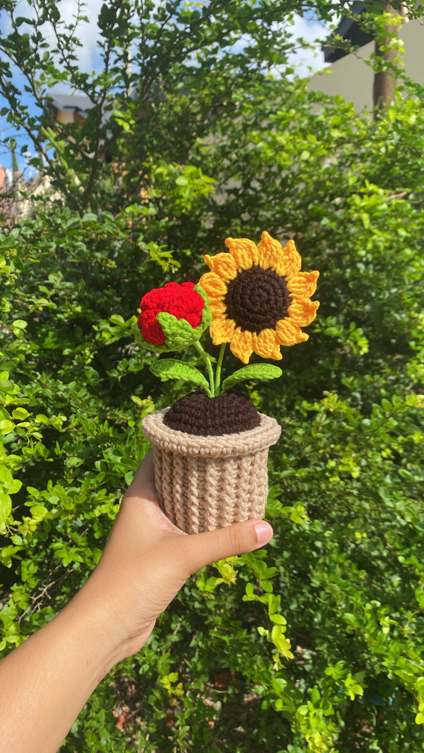 Rose and Sunflower in textured pot